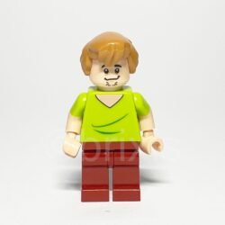 LEGO Scooby-Doo Minifigur Shaggy Rogers (SCD001) – Vorderansicht