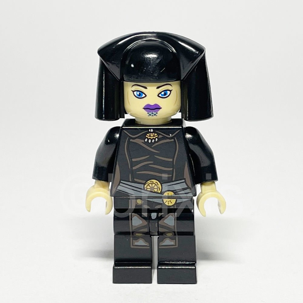 LEGO Star Wars Minifigur Luminara Unduli (SW0310) - LEGO Star Wars Luminara Unduli Minifigure SW0310 LEGO Star Wars Minifigur Luminara Unduli (SW0310) – Vorderansicht
